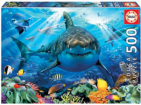 Educa - Puzzle 500 Teile für Erwachsene | Weißer Hai, 500 Teile Puzzle für Erwachsene und Kinder ab 11 Jahren, Meerestiere (18478)