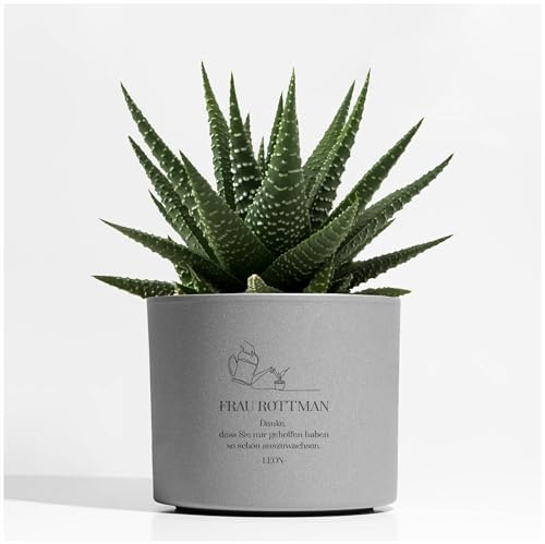 Hapies Personalisierter Blumentopf Lehrerin Geschenk Keramik Übertopf ohne Ablaufloch 17 cm Mattes Design Dankeschön Schuljahresende Zimmerpflanzen