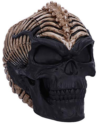 Nemesis Now Officially Licensed James Ryman Spine Head Skull Skeleton Ornament, Natural, 18.5cm