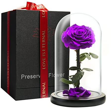 LOVAPPY Preserved Forever Rose in Glass Dome - Beauty and the Beast Romantic Gifts for Her - Eternal Rose Preserved Flowers - Preserved Rose Mother Gifts - Mum Birthday Gifts for women (Purple, 23 cm)