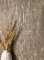 NEWROOM Papier peint Marron Bois Intissé - Moderne Beige Bronze Planche Poutre Rustique