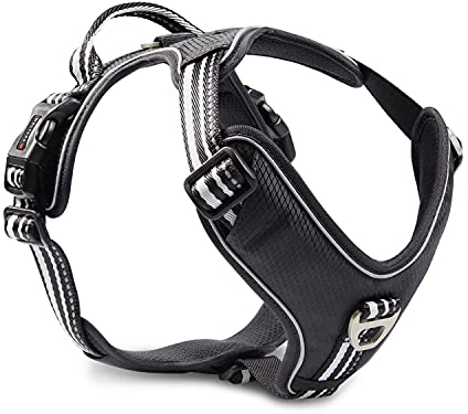 Wolters Geschirr Active Pro, Größe:40-47.5 cm, Farbe:schwarz/schwarz