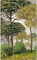 Papier peint intissé Forêt, 250 cm X 150 cm, style toile en peinture, illustration de grands arbres verts, panoramique, décor mural.