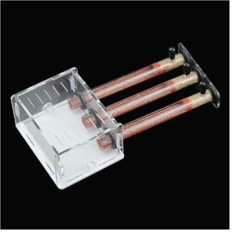 Ameisenfarm Formicarium Ameisenzuchtkasten, 3 Reagenzgläser, Ameisenburg, Ameisenkönigin, Zuchthaus, Villa, Bildungs-Formicarium Ameisenfarm für Draußen