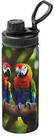 YQxwJL Botella de agua con estampado de loros coloridos en el árbol botella de acero inoxidable botella de agua deportiva para hombres mujeres