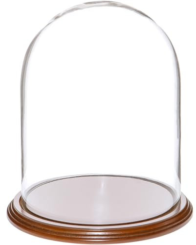 Plymor 20,3 x 26 cm Glasglocke (Walnussfurnier-Basis)