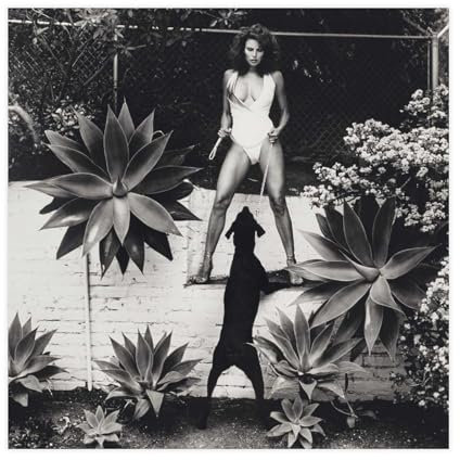 THEGIS Helmut Newton Art 2 Leinwand-Poster, Schlafzimmer, Dekoration, Sport, Landschaft, Büro, Raumdekoration, Geschenk, ungerahmt, 30 x 30 cm