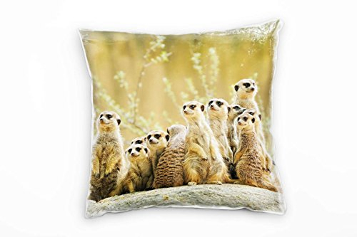 Paul Sinus Art Tiere, braun, grün, Erdmännchen, Afrika, Wildnis Deko Kissen 40x40cm für Couch Sofa Lounge Zierkissen - Dekoration zum Wohlfühlen