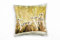 Paul Sinus Art Tiere, braun, grün, Erdmännchen, Afrika, Wildnis Deko Kissen 40x40cm für Couch Sofa Lounge Zierkissen - Dekoration zum Wohlfühlen