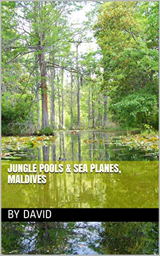 Jungle Pools & Sea Planes, Maldives (English Edition)