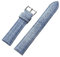 Ateldooly Vintage Nylon Uhrenarmband Canvas Nylon Uhrenarmbänder Herren Damen Armband, Hellblau, 22mm