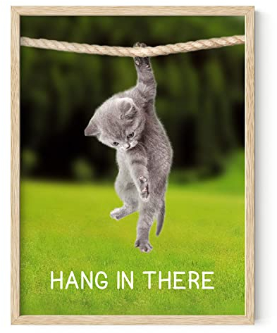 HAUS AND HUES Hang in There Cat Poster – Lustiges Katzen-Poster, niedliche Poster, motivierendes Poster, inspirierende Poster, Hang in There, Poster Hang in There, gerahmt, 30.5x40.6 cm