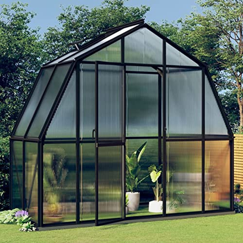 Festnight Serre avec Cadre de Base Serre de Jardin Aluminium Polycarbonate Tente Abri Plantes Greenhouse Base Culture Plantes Aluminium Anthracite- Aluminium-3,3 m²