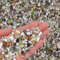 Hisredsun 2.1 lb Decorative Stones 6-9mm Mixed Jade Pebbles for Flowerpot, Garden and Aquarium Decoration