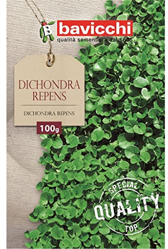 Bavicchi semi prato dichondra repens (500g)