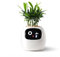 PLANTSIO Intelligenter Pflanzroboter mit Emojis zur Pflanzenpflege, Bezaubernder Pflanzenbegleiter mit umfassender Gesteninteraktion, Gartentopf als Geschenk für den Schreibtisch (Weiss)