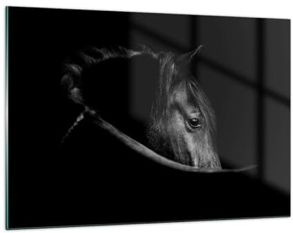 Deco Cadre Salon Cheval Animal Artistique Moderne Impression sur Verre 120x80cm Image Tableau en Verre Decoration Murale Chambre Horizontal Art Grand XXL Tableaux Decoratifs Muraux GAA120x80-5492
