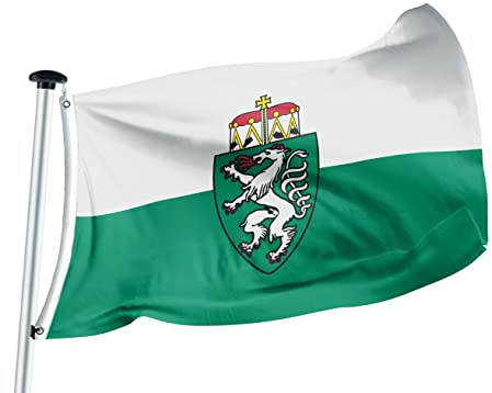 FLAGLY Premium Flagge Steiermark 100x150cm - 115g/m² Stoffgewicht - gedruckt, robustes und witterungsbeständiges Glanzpolyester mit Ösen (100 x 150 cm, Steiermark)