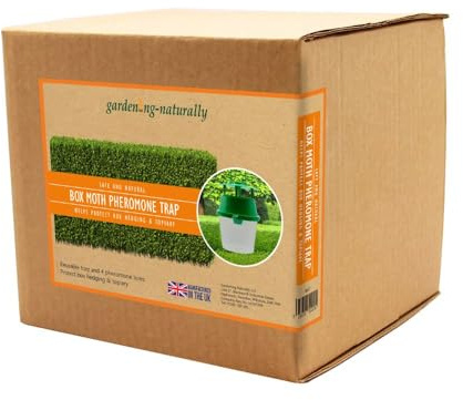 Box Tree Moth Trap with Pheromone Lures – Reusable Trap for Box Hedges