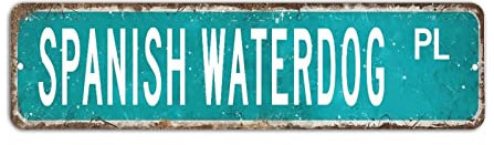 Cartello stradale spagnolo Waterdog, cartello stradale spagnolo, stile vintage, stile rustico, stile retrò, 8 x 30 cm