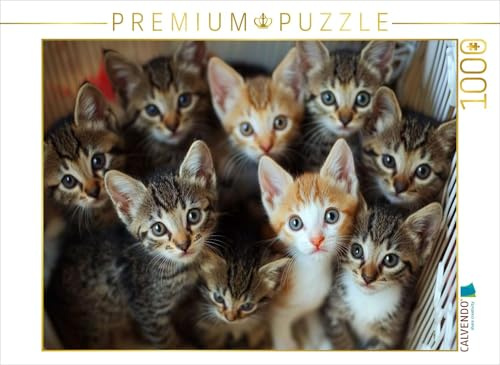 Puzzle · Kätzchen - kuschliger Haufen | 1000 Teile · Lege-Größe 64 × 48 cm · CALVENDO Puzzle