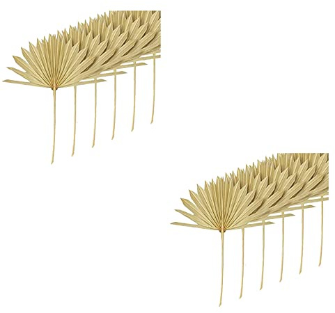 Speesy 12Pcs Dried Palm Leaves Natural Dried Palm Fans Dried Flower Bouquet Wedding Decors Dried Fan Palm Leaves