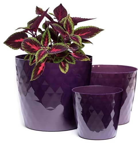 Home Garden Ornaments Plant Pots Indoor, Indoor Plant Pot - Set of 3 Flower Pots with Glossy Crystal Surface (14cm, 16cm, 18cm, Colour: Purple)