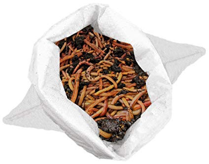 0,5 kg de vers de compost (min. 500 pièces) | Vers de terre, mélange Eisenia vivant pour compost, jardin, vermicomposteur, boîte à vers, plate-bande surélevée