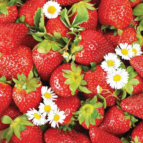 Ambiente Servietten Papier 33x33cm 3-lagig mit Erdbeeren Motiv 20 Stück - hochwertig & nachhaltig - Einweg Papierservietten Rot Weiß - Gartenfest Party Brunch Gastroservietten Tischdeko