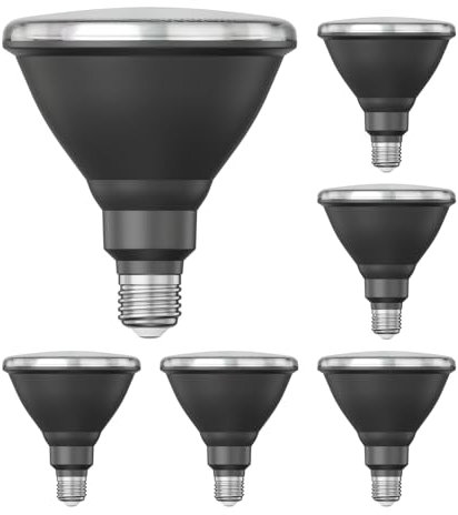 ledscom.de 6 Stück E27 LED Leuchtmittel, PAR38 kurzer Hals, weiß (4200 K), 16,1 W, 1379lm, 45°, Reflektorspiegel (silber)