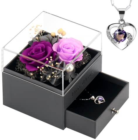 SHOKUTO Cadeau Femme-2 Vraie Rose éternelle avec Collier, Anniversaire Saint Valentin Noël Fête des Mères Cadeaux pour sa Femme Maman Grand-Mère Amie