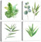 JOFANG 4PCS Framed Wall Art- Tropical Fern Green Wall Art for Living Room Framed Pictures for Bedroom Bathroom Decor Kitchen Wall Botanical Art Prints-12x12in