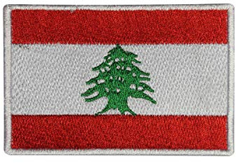 Lebanon National Flag Embroidered Iron on Patch Sew on Badge for Clothes etc