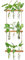 XXXFLOWER Wall Hanging Propagation Station with 3 Tiered Wooden Stand 9 Test Tubes Plant Propagation Kit for Hydroponic Plants Cuttings Test Tube Plant Holder Flower Vase Perfect Plant Lover Gifts