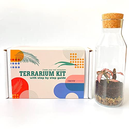 Terrarium-Set mit Glasbehälter und Korkdeckel, Mini-Garten, Geschenkidee, DIY-Kit (nur Set)