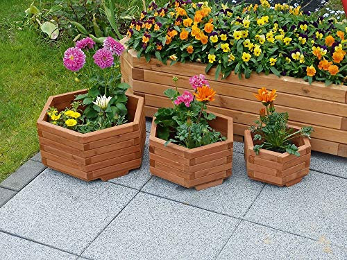Beauty.Scouts Outdoor Dino Collection 6-Eck Blumenkübel Olivia, 3er-Set, Kiefernholz, Blumentopf, Gartendeko, Balkondeko, Pflanzkübel, Pflanztopf, Blumenpflanzen