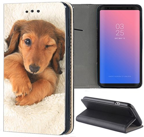 KX-Mobile Apple iPhone 6 / 6s Hülle - Handyhülle für Apple iPhone 6 / 6s - Handycover aus Kunstleder Motiv 1329 Dackel Welpe Hund Hundebaby Schutzhülle Smart Klapphülle Case