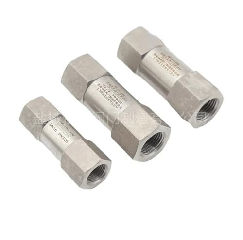 1/4 3/8 1/2 3/4 Zoll 304 Edelstahl Feder Rückschlagventil Einweg-Rückschlagventil 4500 PSI Hochdruck 1St(3/4,NPT Female)