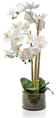 Crystals Artificial Orchid Flower in Pot – Realistic Faux Orchid Plant Decoration for Home, Office, or Event – Elegant White Floral Display – No Maintenance Required (Design 5)