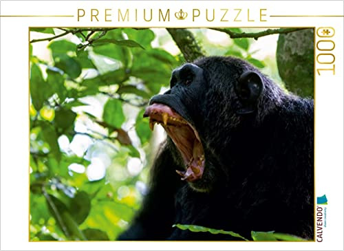 CALVENDO Puzzle Vorsicht! | 1000 Teile Lege-Größe 64 x 48 cm Foto-Puzzle für glückliche Stunden