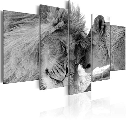 decomonkey Bilder Tiere 150x75 cm 5 Teilig Wandbild Groß Leinwandbild XXL Deko Wohnzimmer Schlafzimmer Büro Wanddeko Leinwand Pictures For Wall Poster Wall Painting Wandbilder Set Natur Abstrakte