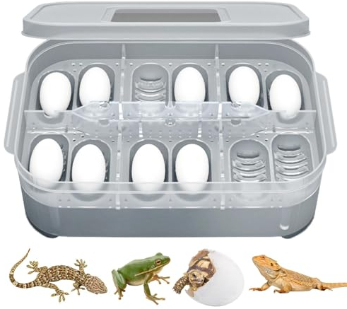 Incubatrice per uova di rettili – Scatola per incubazione serpente 12 griglie – Scatola per l'alimentazione di rettili, gabbia per lucertola, habitat, contenitore portatile per animali domestici per