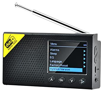 YIWEOG Radio Set Digital DAB & Radio with BT, Portable Digital Radio Reable Wireless DAB+FM Receiver with Stereo Speaker Sound System, LCD Display, Multi-Language