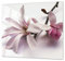 Cubre vitros de cristal templado - Tabla para cortar de cristal – Tabla para amasar y protector de vitro – UNA PIEZA (60 x 52 cm) o DOS PIEZAS (30 x 52 cm); D06 Serie Flores: Flor 3