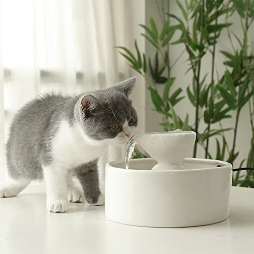 DUOLEMY Fuente de agua de cerámica para gatos, fuente de agua de cerámica ultra silenciosa para mascotas, dispensador automático de agua de oxígeno circulante para mascotas, fácil de limpiar