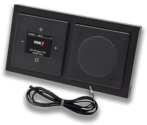 Busch Jäger DAB+ (DAB PLUS) Unterputz Radio 8215U-101 Future Anthrazit, Set mit Lautsprecher, Abdeckungen, Rahmen + 0,9 m EBROM Wurfantenne zur Empfangsoptimierung - 8215 U – 101