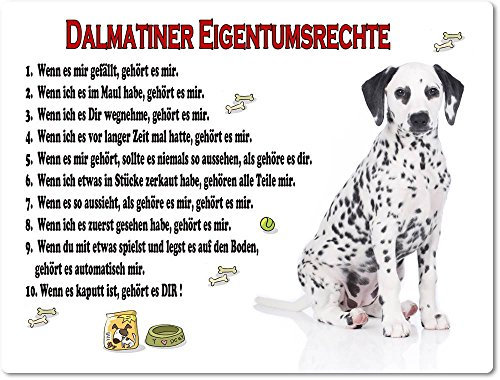 Merchandise for Fans Blechschild/Warnschild/Türschild - Aluminium - 30x40cm Eigentumsrechte Motiv: Dalmatiner (02)