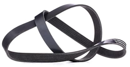 RIDEX Keilrippenriemen 305P0064 PUNTO (188) Idea (350_) Ulysse (179_) 1200mm