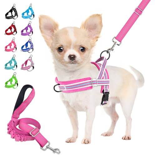 Eyein Hundegeschirr mit Leine für mittelgroße Kleine Hunde, Weich gepolsterter No-Pull Brustgeschirr mit 2 Leinenclips, Leichtgewicht Reflektierend Geschirr Hals und Brust verstellbar (Rosenrot, XS)