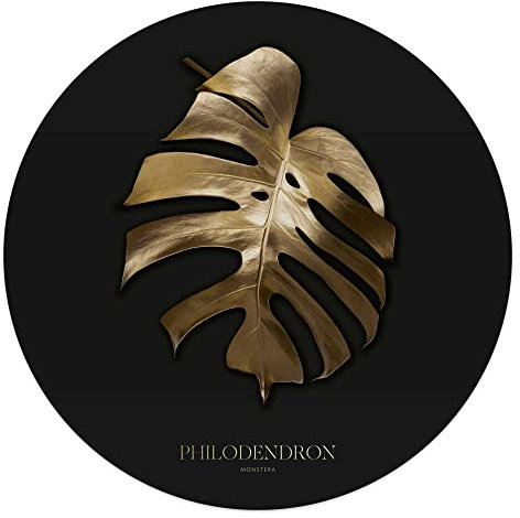 REINDERS Glasbild, Monstera in Gold, Wohnzimmer, Poster, Wanddeko, Glasbilder, Glas, Schwarz, Ø 50cm